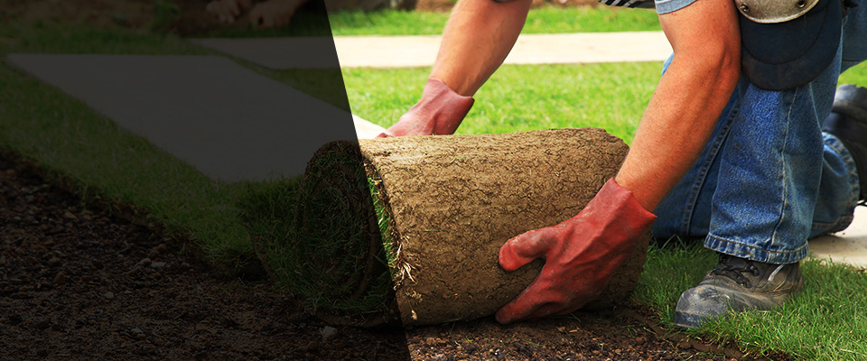 Fort Washington Landscapers